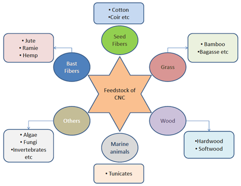 fortune-biomass-feedstock
